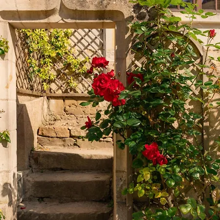 Manoir Saint Eusebe Guest house Gennes-Val-de-Loire