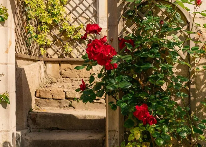 Manoir Saint Eusebe Casa de hóspedes Gennes-Val-de-Loire